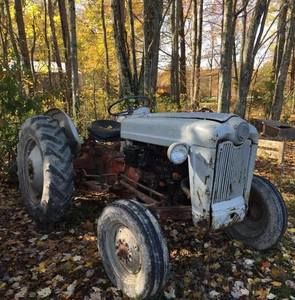 Meet your Posher, Harvey